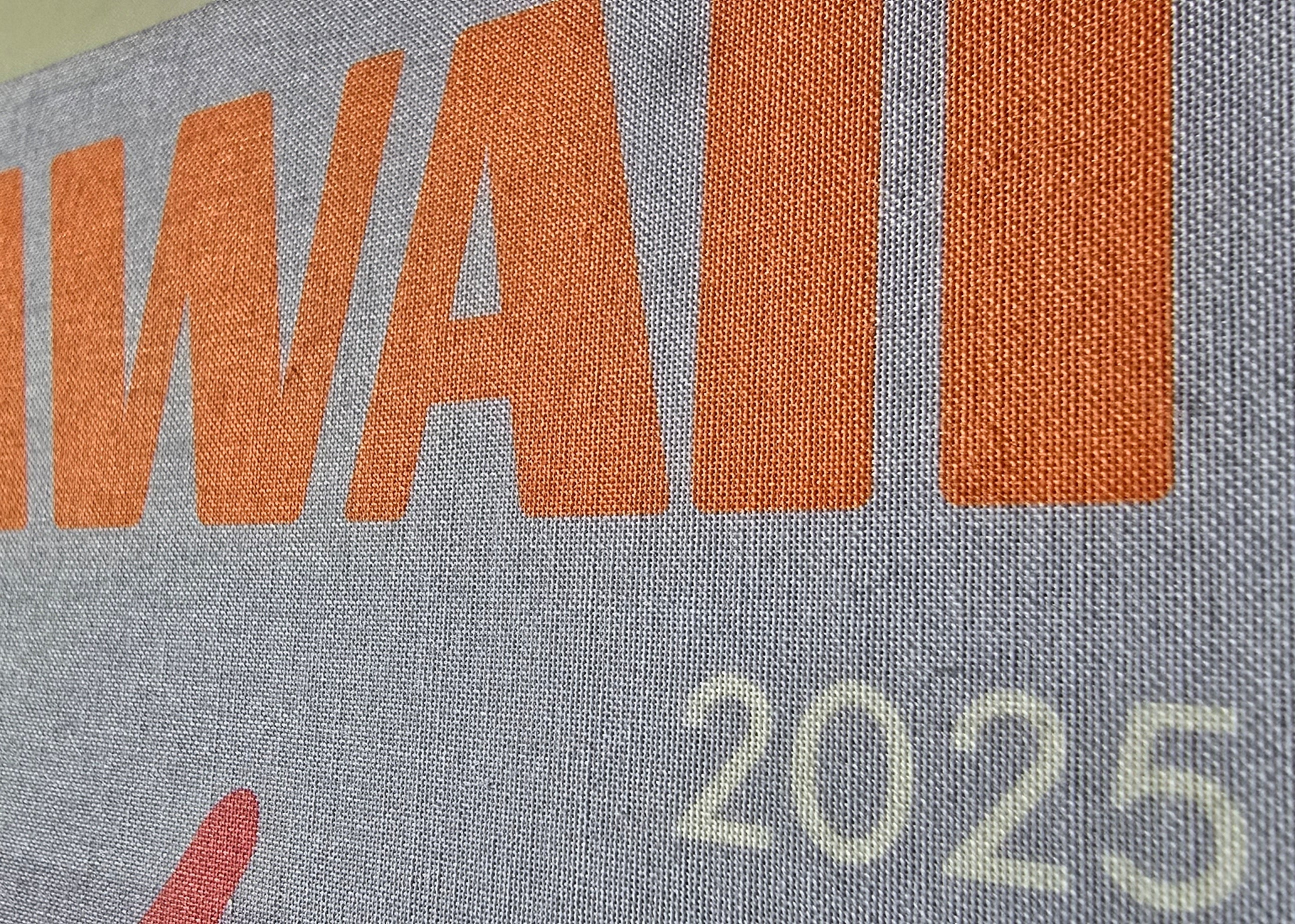 Text 'HAWAII 2025' on a textured surface with a blurred background