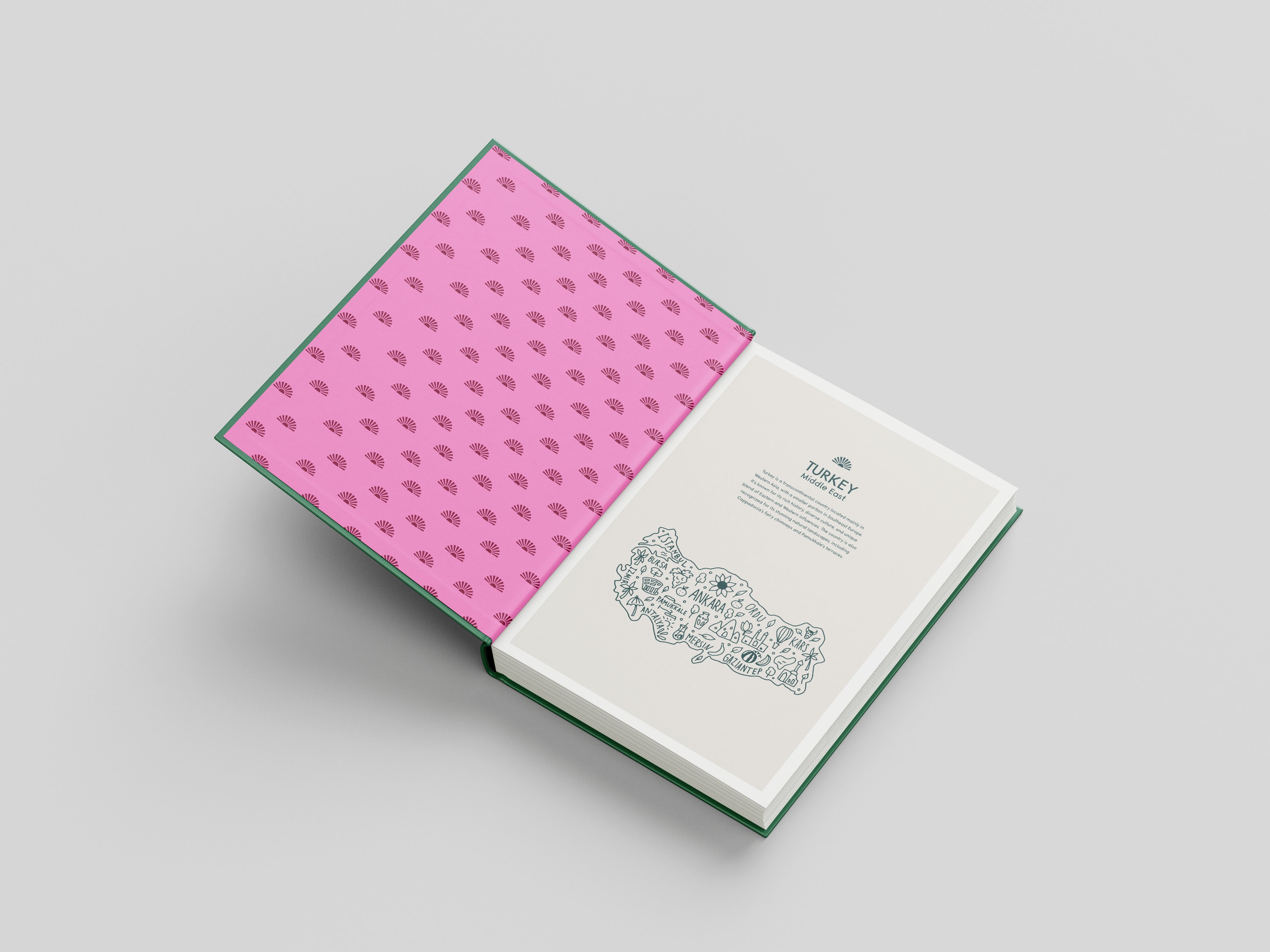 Book with pink patterned cover and white back cover on a gray background